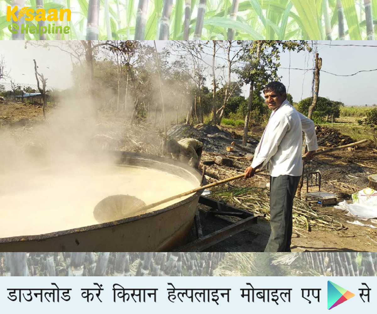 Organic Farming: जैविक खेती बन रही फायदे का सौदा, जैविक खेती से लाखों कमा रहे हैं किसान जयराम